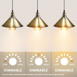 Pendant Ceiling Light