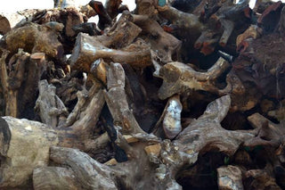 Natural Wooden Catchall Dish