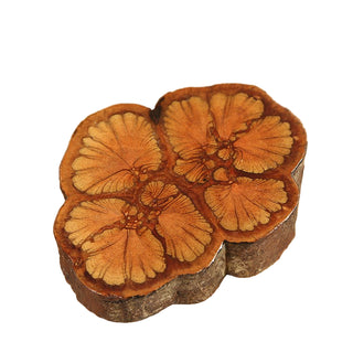 Passiflora Papilio Piece Coaster