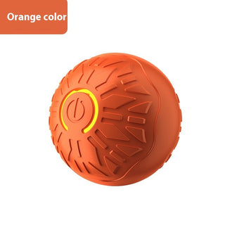 Electric Jumping Pet Ball