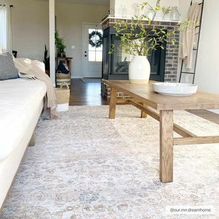 Low-Pile Neutral Area Rug