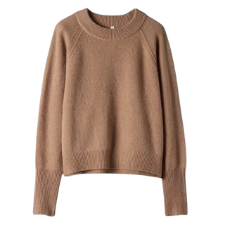 Aritzia Babaton Luxe Cashmere Crew Sweater