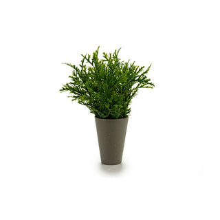 Plastic Plant Pot