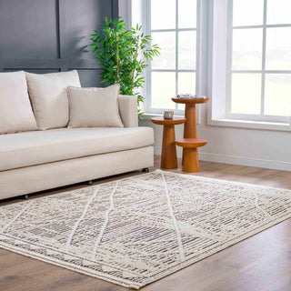 Woven Jute Area Rug