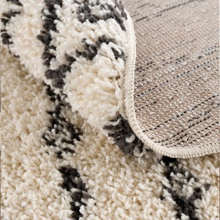 Plush Shag Area Rug