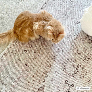 Bethany Low Pile Area Rug