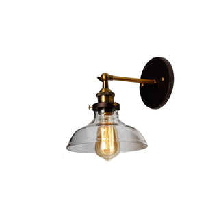 Indoor Downlight Wall Sconce with Blown Glass Shade