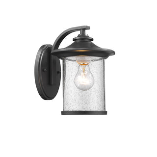 Outdoor Wall Light with Clear Seedy Glass