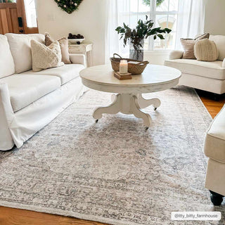 Low-Pile Neutral Area Rug