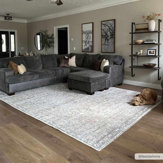 Low-Pile Neutral Area Rug