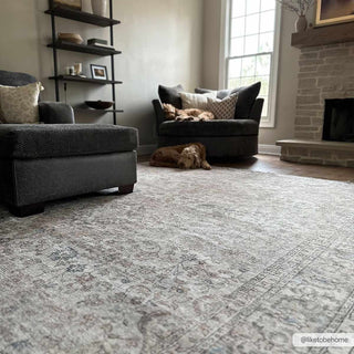 Low-Pile Neutral Area Rug