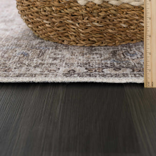 Low-Pile Neutral Area Rug