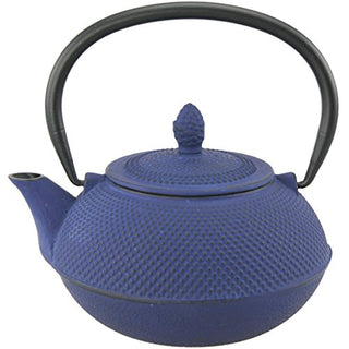 Kyusu Cast Iron Tea Pot