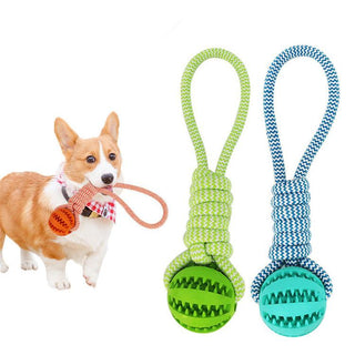 Tug-of-War Dog Toy Set