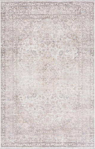 Low-Pile Neutral Area Rug