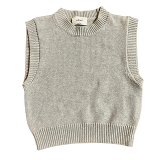 Aritzia Sweater Vest