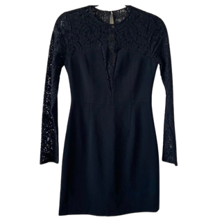 Aritzia Babaton Masaki Lace Mini Dress