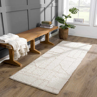 Andia Area Rug