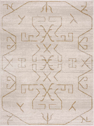 Boho Aztec Area Rug