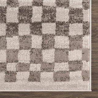 Medium Pile Rug with Timeless Geometric Pattern