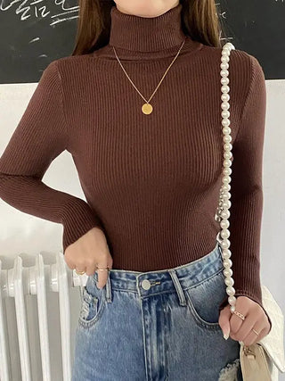 Soft Knitted Cashmere Pullover Turtleneck Sweater