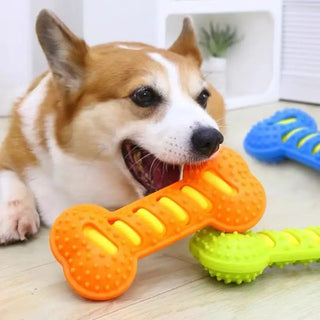 Rubber Bone Dog Chew Toy