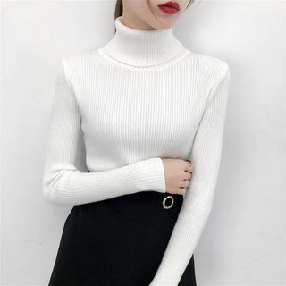 Women Sweater Pullover Winter Knitted Turtleneck Long Sleeve Slim