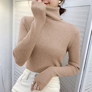 Soft Knitted Cashmere Pullover Turtleneck Sweater