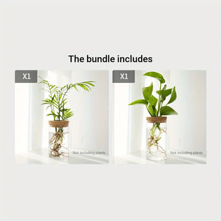 Hydroponics Glass Planter Vase
