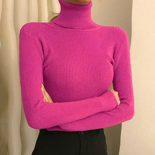 Women Sweater Pullover Winter Knitted Turtleneck Long Sleeve Slim
