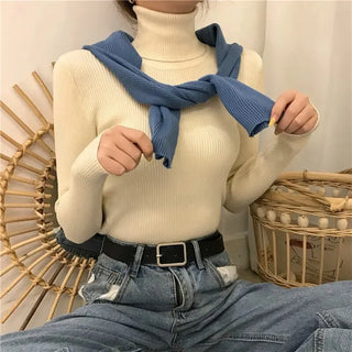Women Sweater Pullover Winter Knitted Turtleneck Long Sleeve Slim