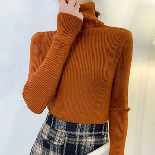 Soft Knitted Cashmere Pullover Turtleneck Sweater
