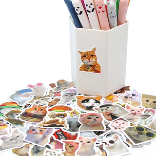 Funny Kitty Stickers