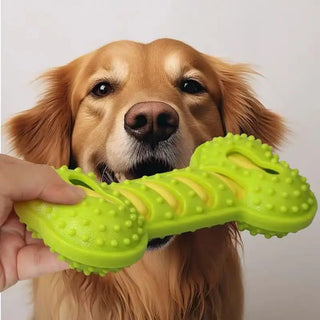 Rubber Bone Dog Chew Toy
