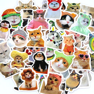 Funny Kitty Stickers