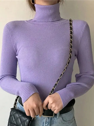 Soft Knitted Cashmere Pullover Turtleneck Sweater