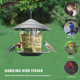 Automatic Bird Feeder
