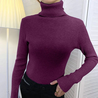 Soft Knitted Cashmere Pullover Turtleneck Sweater