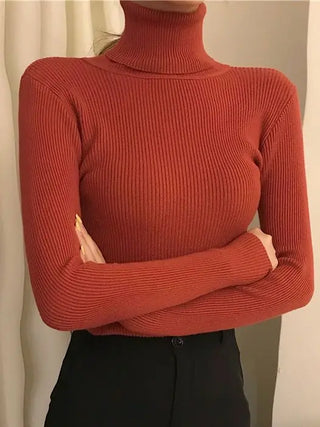 Soft Knitted Cashmere Pullover Turtleneck Sweater