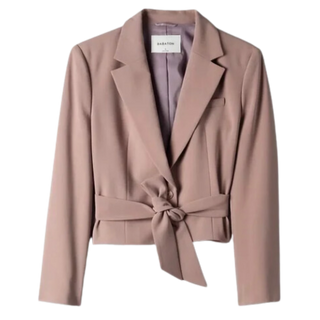 Aritzia Babaton Santos Blazer