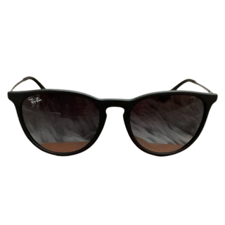 Ray-Ban Erika Sunglasses