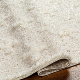 Geometric Boho Area Rug