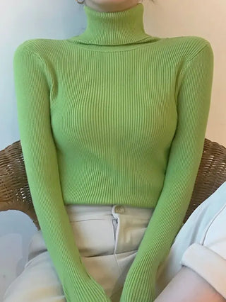 Soft Knitted Cashmere Pullover Turtleneck Sweater