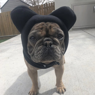Dog Fleece Bat Hat