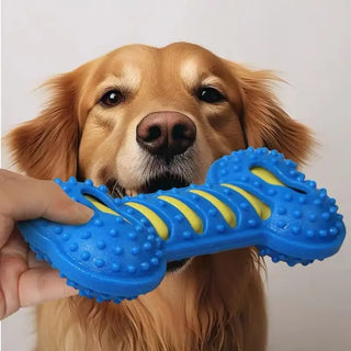 Rubber Bone Dog Chew Toy