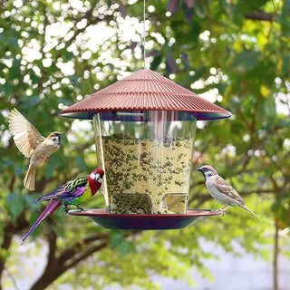 Automatic Bird Feeder