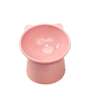Pet Food Bowl