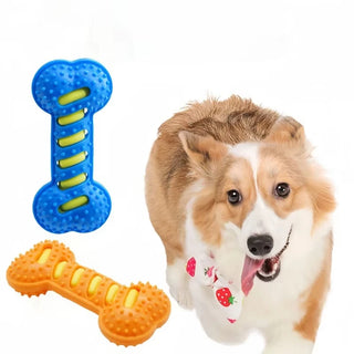 Rubber Bone Dog Chew Toy
