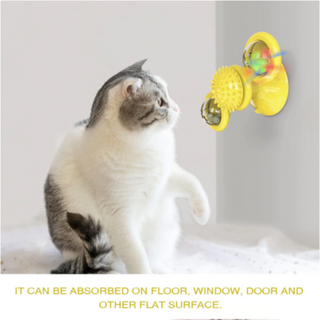 Whirling LED Cat Toy with Suction Cup Base