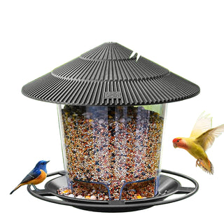Automatic Bird Feeder